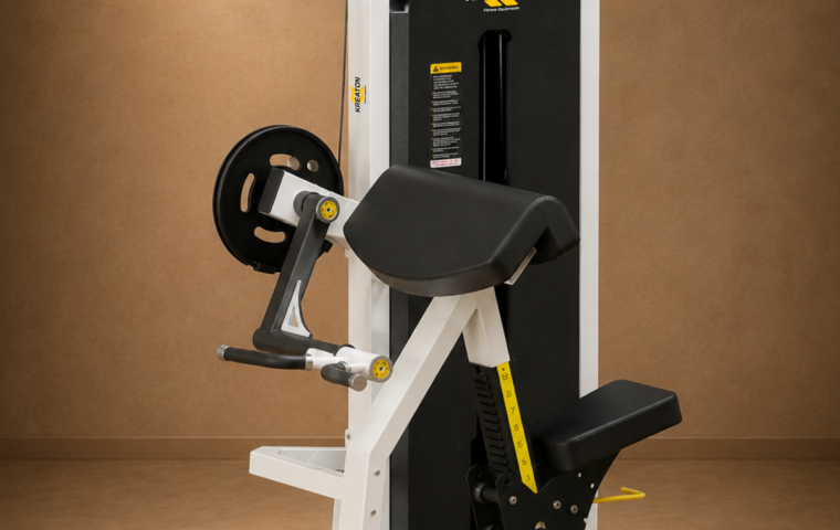 Biceps Curl