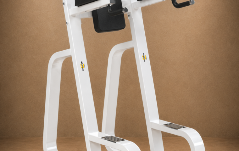 Vertical-Dips-Stand